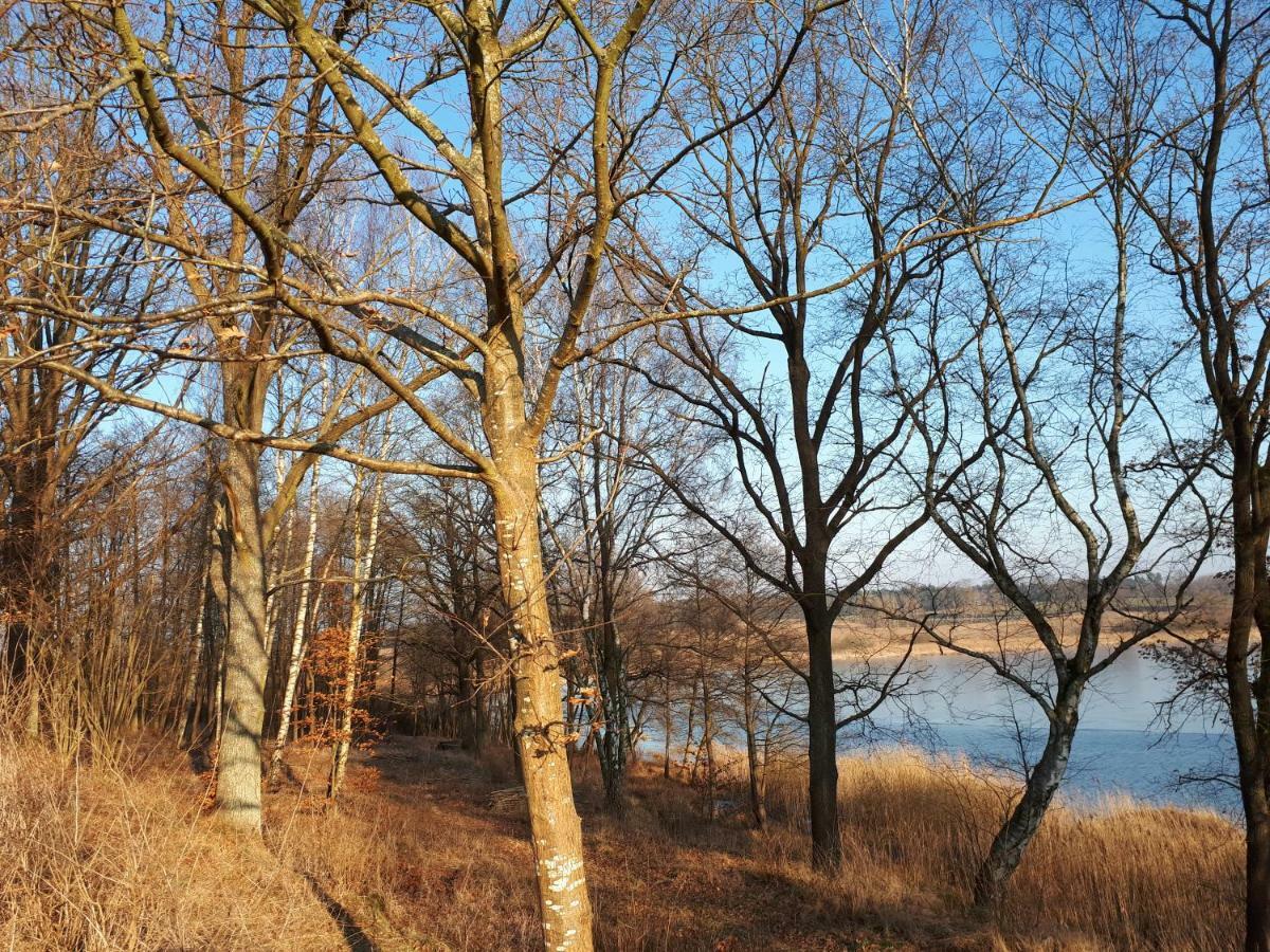 Labadkowo Villa Labedzie Eksteriør billede