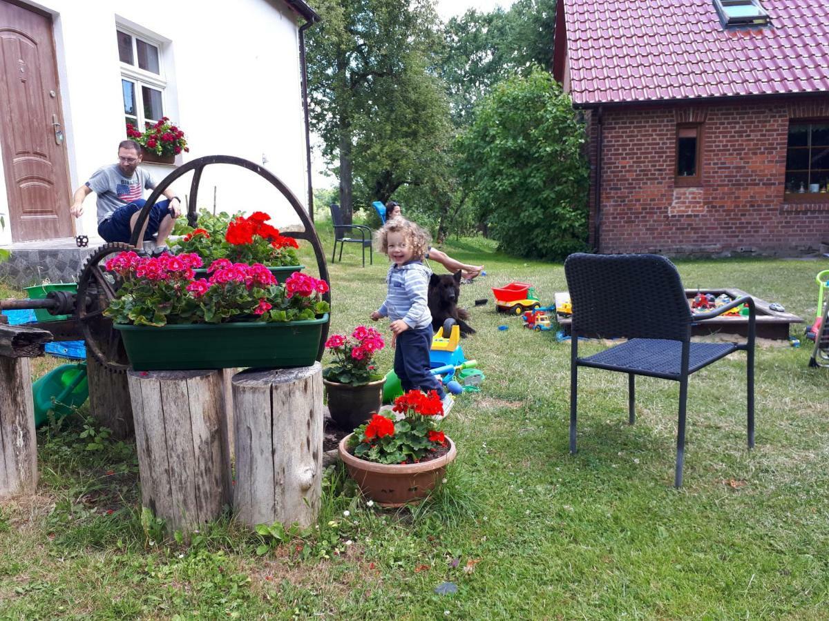 Labadkowo Villa Labedzie Eksteriør billede